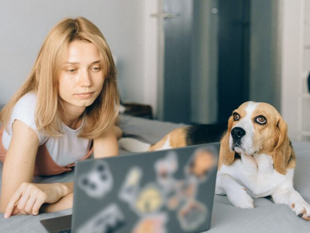 Jól megy a kémszoftver-gyártó cégeknek a home office elterjedése óta