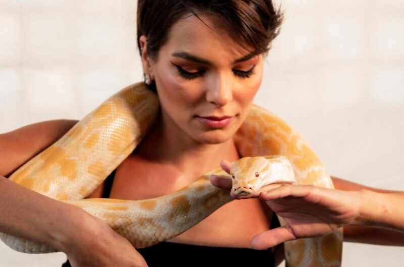 snake_healing