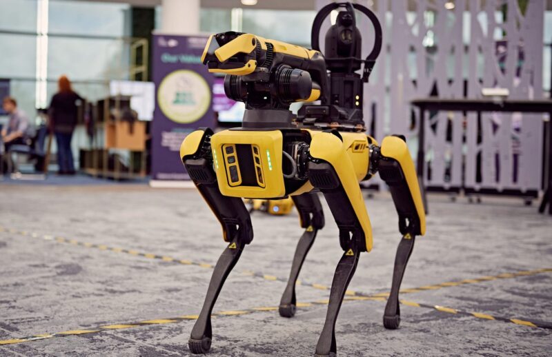 robot_dog_dystopia