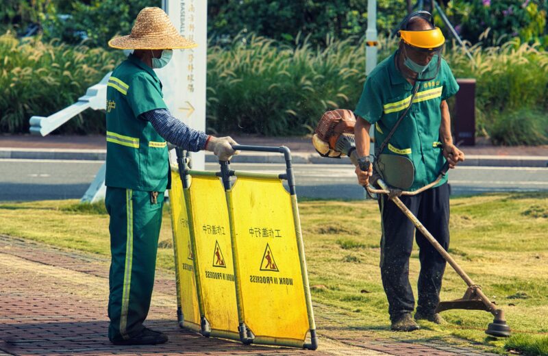 Lawnmower Men