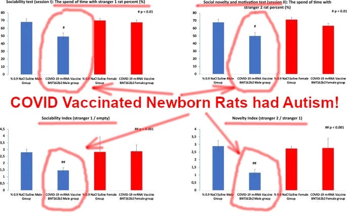 Rat Experiment Vax