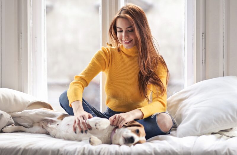 Nem baj csalad helyett jo nekem a kis kutya is