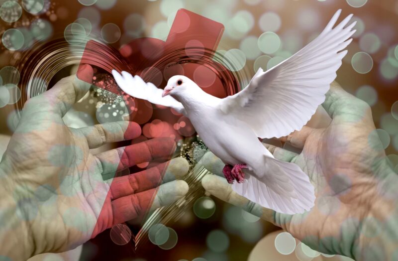 Ai beke galamb kereszt