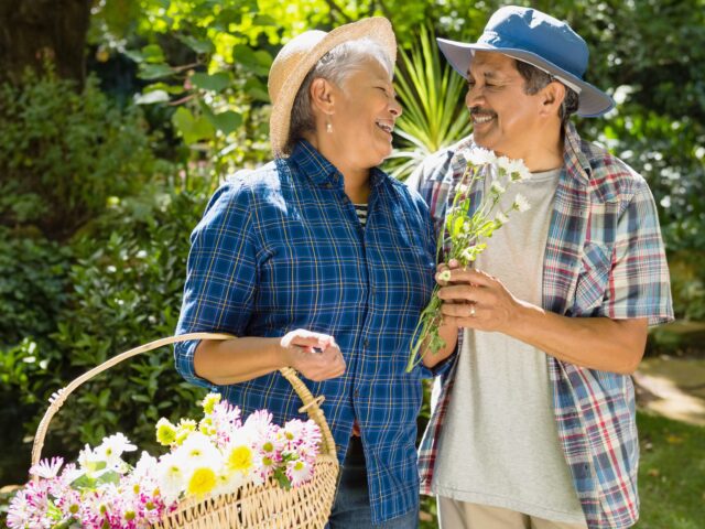 Gerontorkacia altali halal cover