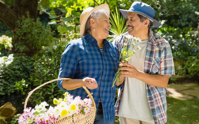 Gerontorkacia altali halal cover