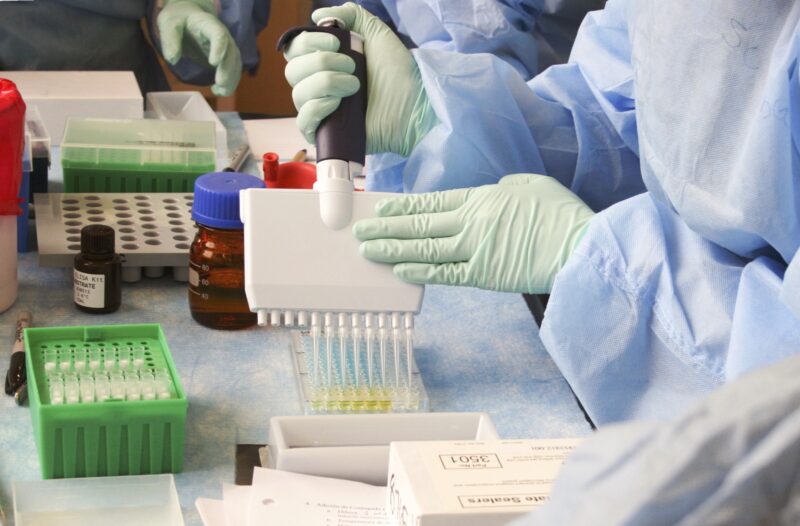 Tudomany ver kiserletek